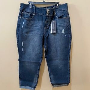 Torrid Premium Stretch Jeans Plus Size Skinny Fit Stretchy Blue Jeggings 24 NEW
